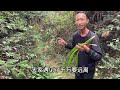 农村有毒的一种植物，可作为老鼠药，大家看见要远离它