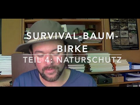 Survival Tree Birch (4) Tree Knowledge for Bushcrafters (Nature Conservation)