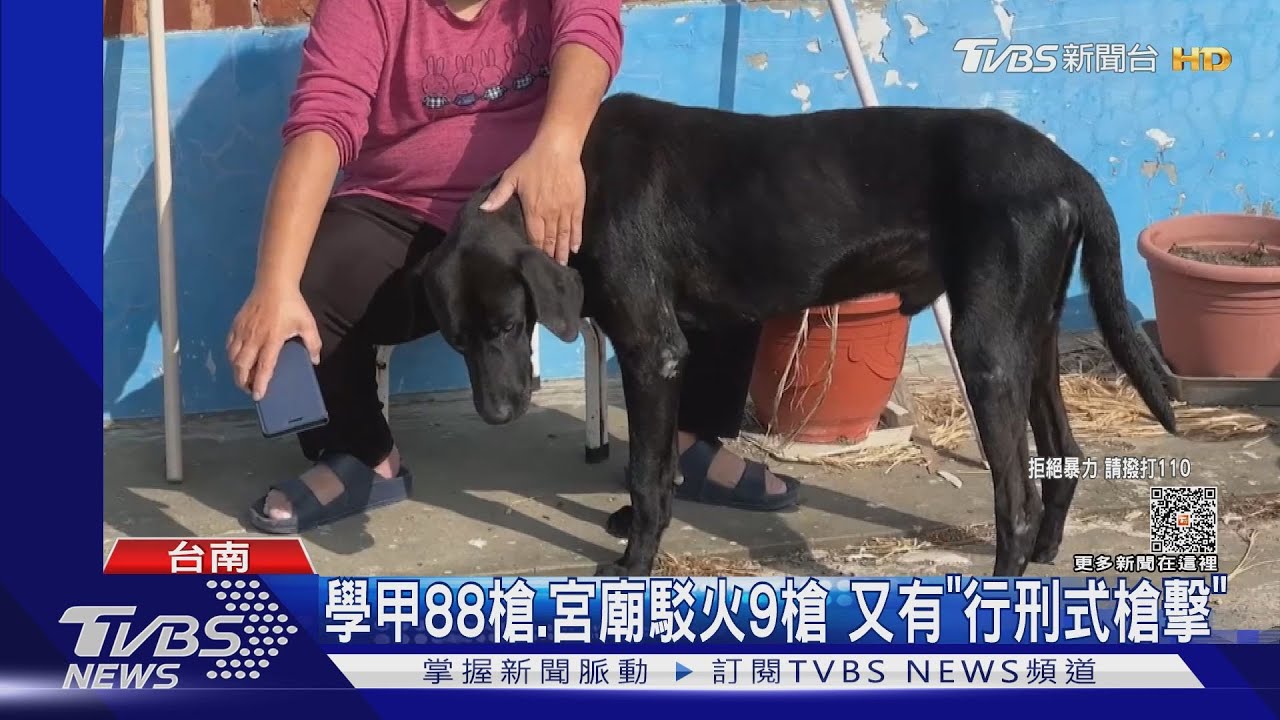 女不滿被數落!撂3人談判 友人疑無辜遭開槍打中