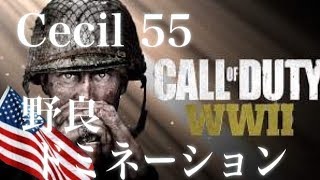 【COD:WW2】野良で頑張りました‼
