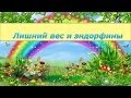 Эндорфины: Как гормоны счастья влияют на лишний вес 