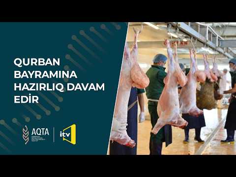 Qurban bayramına hazırlıq