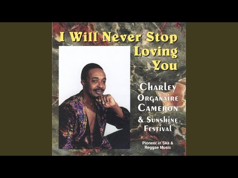 I Will Never Stop Loving You