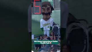 Certainly a sight to see ????