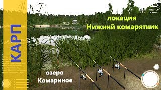 Озеро снегирево курганская область рыбалка на что ловить карпа