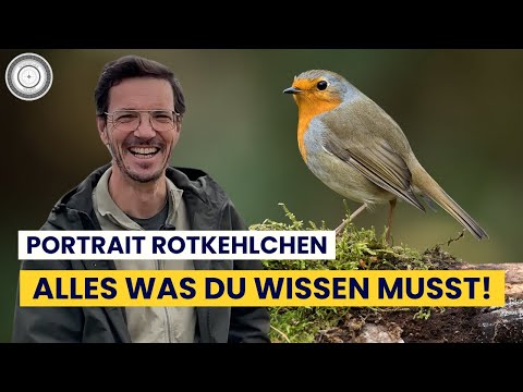 Great TIPS & INFO to support the robin in YOUR OWN garden...