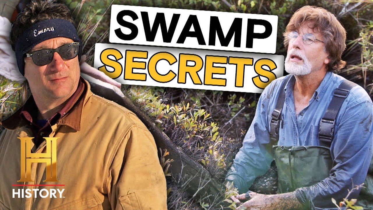 YouTube Thumbnail Downloader FULL HQ IMAGE