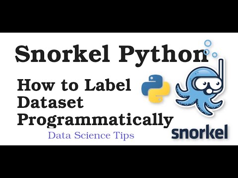 Snorkel Python Tutorial Labeling Datasets Programmatically
