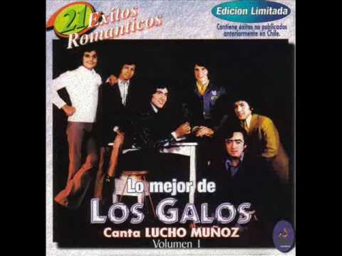 LOS GALOS - Nunca me cansaré de tí -1970 - CANTA LUCHO MUÑOZ - TICOABRIL