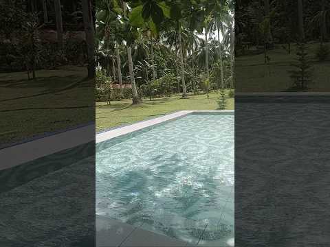 nice view to relax ☺️