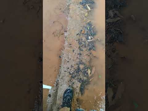 JUQUITIBA QUADRA DO MEDO CHEIA DE LAMA E UMA LAGOA NA LATERAL NA CIDADE QUE NÃO DEU CERTO .