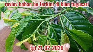 Download lagu review bahan b2 kopi yang tumbuh bunga sekarang di bulan 2 th 2026 mp3 Download lagu review bahan b2 kopi yang tumbuh bunga sekarang di bulan 2 th 2026 mp3