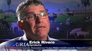 Leche a granel, aún prohibida, se sigue vendiendo en mercado local