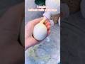 Balloon Milk Puddings Poke It