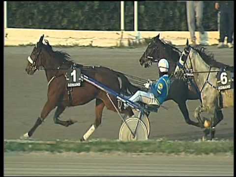 Trotto 17/12/2015 - 3° corsa