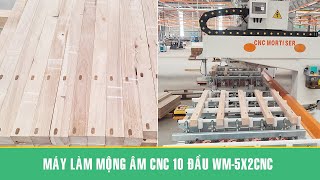 Máy CNC làm mộng âm 10 đầu WM-5X2CNC