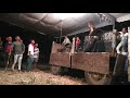Mishir Ji Ka Danda Bhojpuri Song
