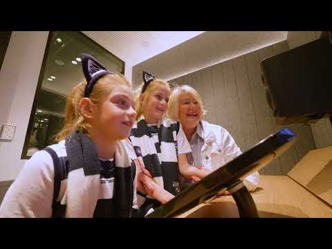 Geelong Sports Museum