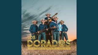 Cover art for La Alianza Norteña - Bonita