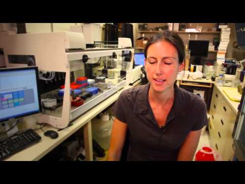 FGF1 and insulin sensitivity