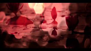 Yumchen Tukar  偉大慈母心  Ani Choying Drolma 阿尼瓊英．卓瑪