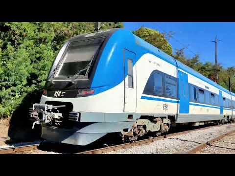 Tarde de trenes en Hualqui, región del Bío-Bío.