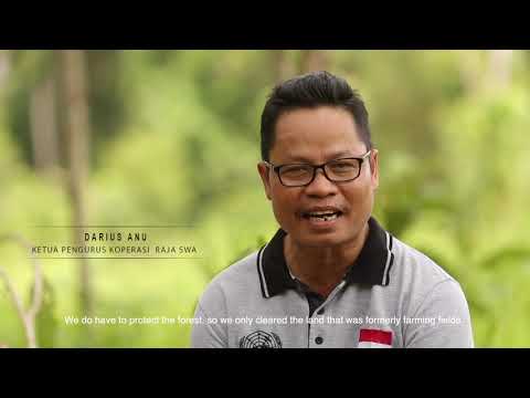 Desa Bangun 
