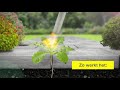 Thermoflamm Bio Comfort Plus onkruidbrander op gas | video 1