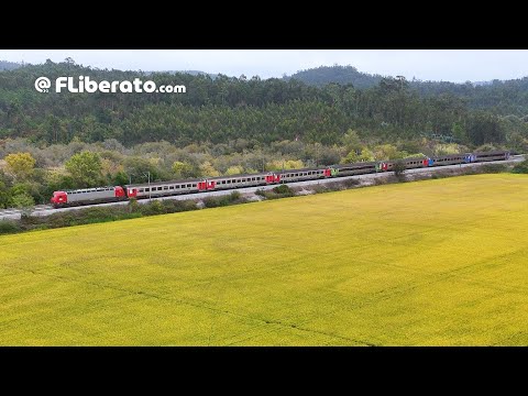 Carruagens CP CoRail IC com vários esquemas de pintura