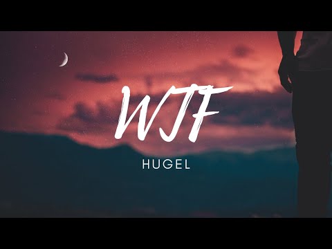 HUGEL feat. Amber van Day - WTF (Lyrics )