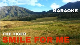 Download lagu Lirik & terjemah lagu || Smile For Me || The Tiger mp3