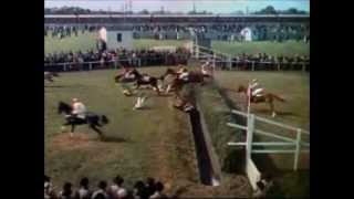 National Velvet (1944) Video