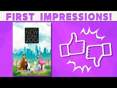 New York Zoo - First Impressions!