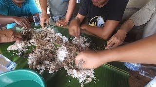 Download lagu Makan Enak Saksang Babi Masak Ramai ramai Part2 mp3