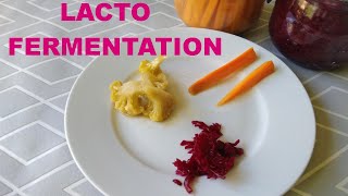 Encore des légumes lactofermentés