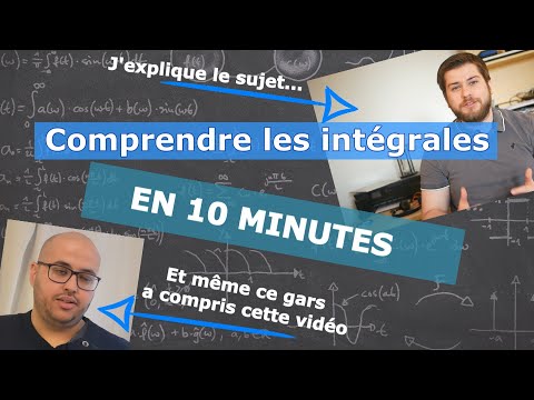 Understanding integrals in 10 minutes