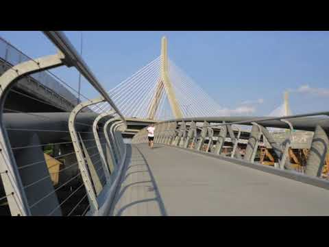 North Bank Pedestrian Bridge Deck