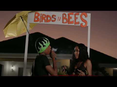 Pablo YG, Lanae  - Birds & Bees Instrumental