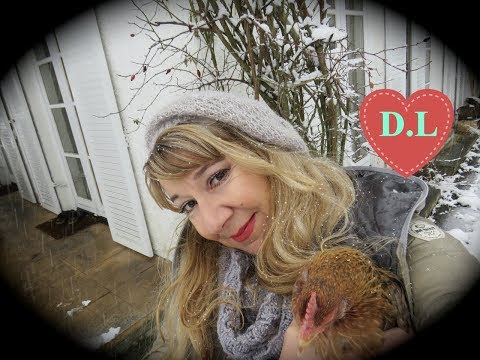 Der Hühnerstall im Winter