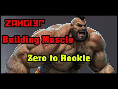 Building Muscle: Zero to Rookie (0-500 LP)
