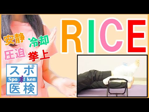 米の累積分布関数 σ = 0.25