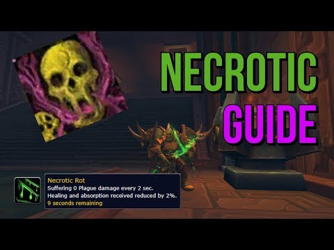 Necrotic Affix Guide [BFA Mythic Plus]