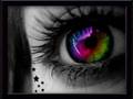 Colors Of The Rainbow