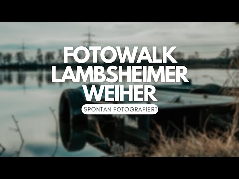 Spontan fotografieren! - Fotowalk am Lambsheimer Weiher