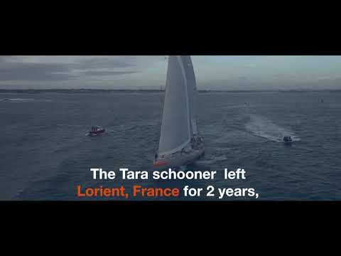 Departure of Tara for the Microbiome Mission on December 12, 2020