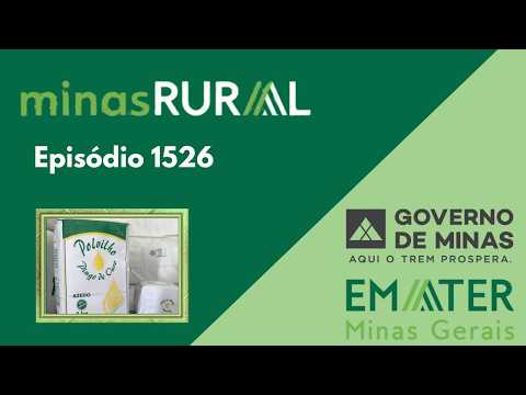 MINAS RURAL 1526