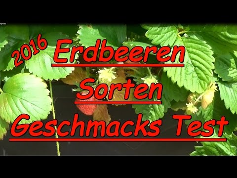 Asd 2 und 3 bei der Schuppenflechte 12 bei der Schuppenflechte