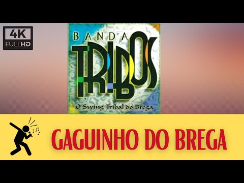Karaokê Banda Tribos - Gaguinho do Brega