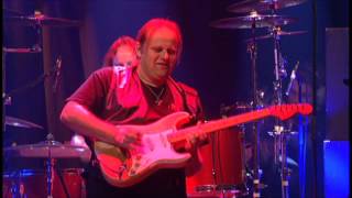 Walter Trout &quot;Dust My Broom&quot; &amp; &quot;If You Just Try&quot; (Audio)