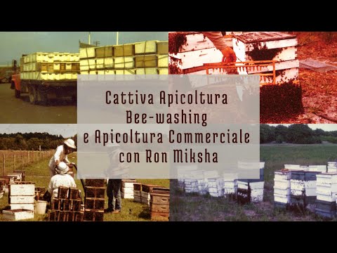 , title : 'Cattiva apicoltura, bee-washing e apicoltura commerciale con Ron Miksha - Le Inter-BEE-ste'